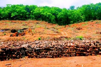 Tamnar project to be ready by August, claims Dhavalikar; greens react sharply