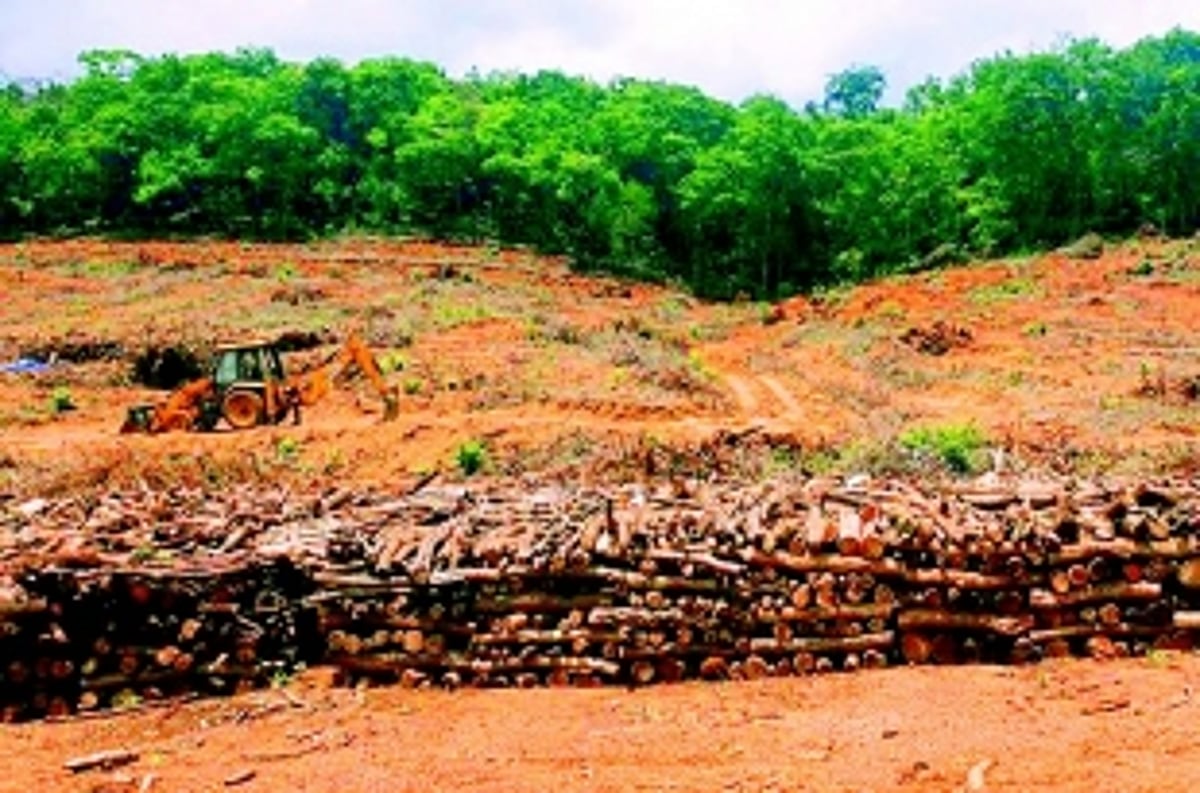 Tamnar project to be ready by August, claims Dhavalikar; greens react sharply