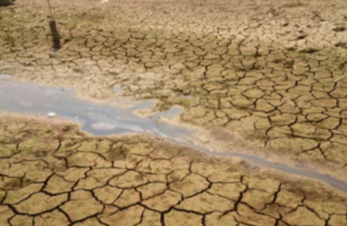 Taplona river basin parched as WRD fails  to maintain bhandaras