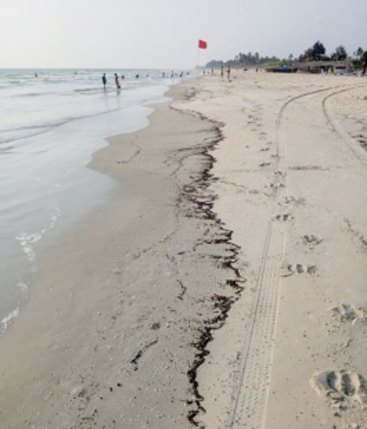 Tar balls invade Zalor beach