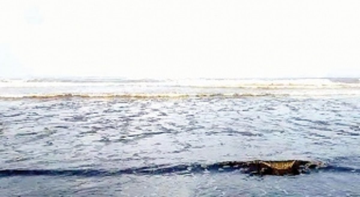 Tar balls make their annual polluted landings on Goa’s beaches