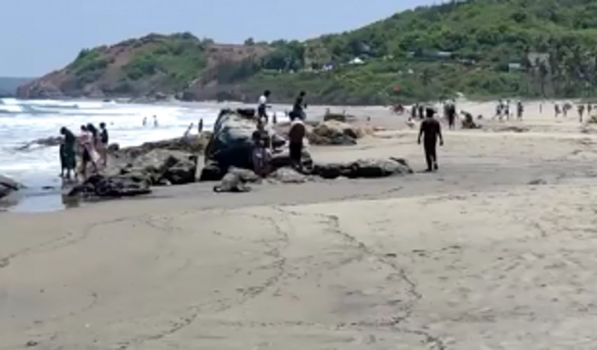 Tar balls resurface on Goa’s pristine beaches