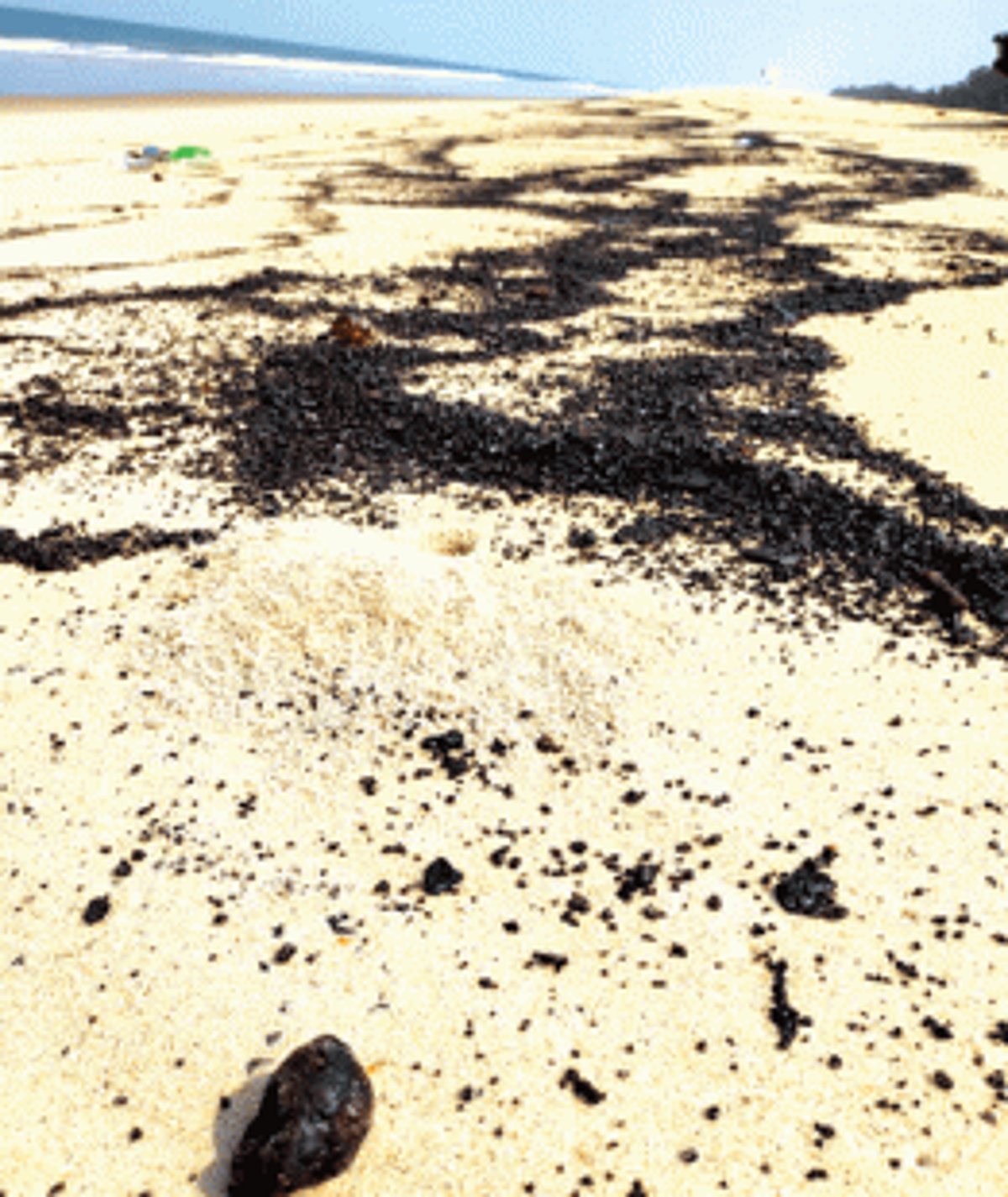 Tar balls resurface on S Goa beaches