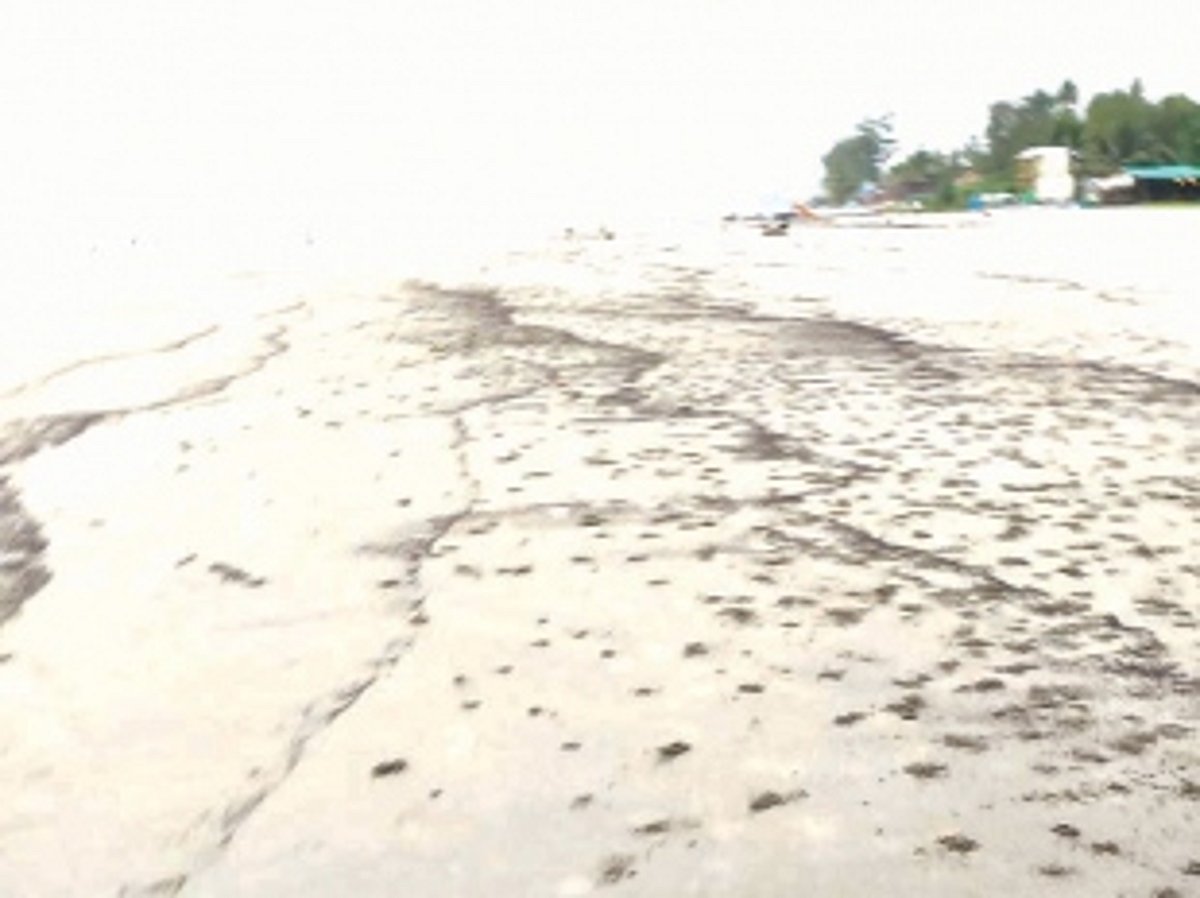 Tar balls surface on Arambol beach