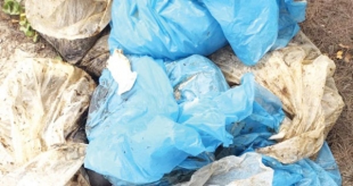 Tar balls wash up on beaches to haunt villages along seashores of Salcete belt