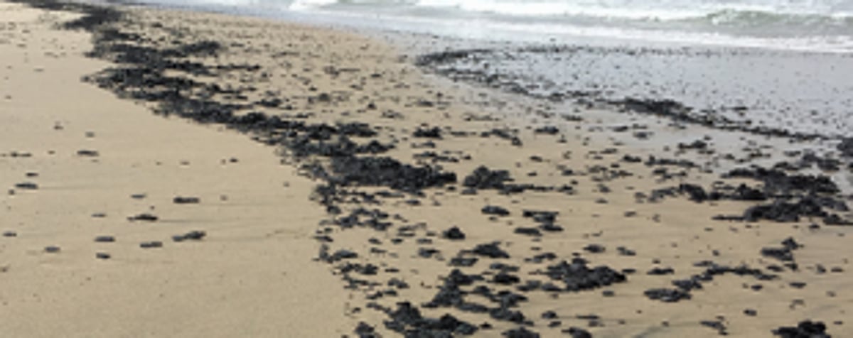 Tarballs on Anjuna Beach cause inconvenience to visitors