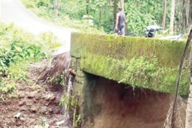Tarimol villagers call for urgent repair of neglected culvert