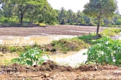 Taxi, shack owners wave goodbye to tourism,  say hello to agriculture, fishing and new jobs