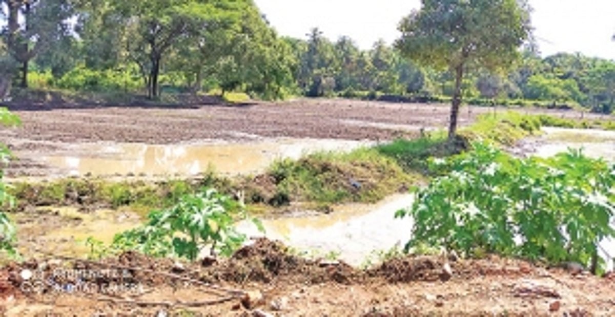 Taxi, shack owners wave goodbye to tourism,  say hello to agriculture, fishing and new jobs