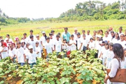 Teaching children about the importance of agriculture