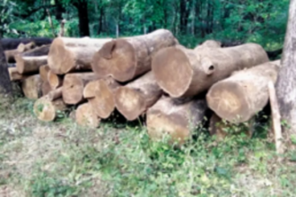 Teak, Bhendi wood seized at Curtorim