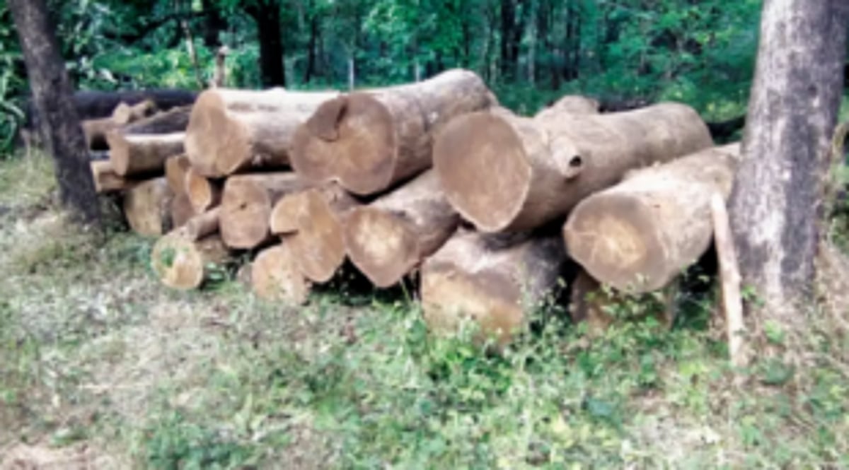 Teak, Bhendi wood seized at Curtorim