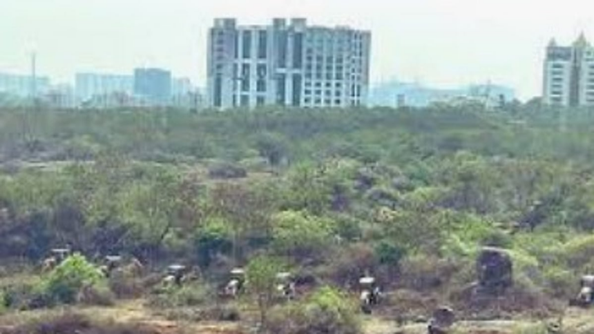 Telangana High Court Halts Tree Cutting in Gachibowli Amid Protest and Political Row 1 Telangana High Court Halts Tree Cutting in Gachibowli Amid Protest and Political Row