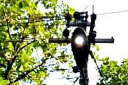 Telaulim–Navelim Residents Fume as Street Lights Waste Power by Day, Bridge Left Dark at Night