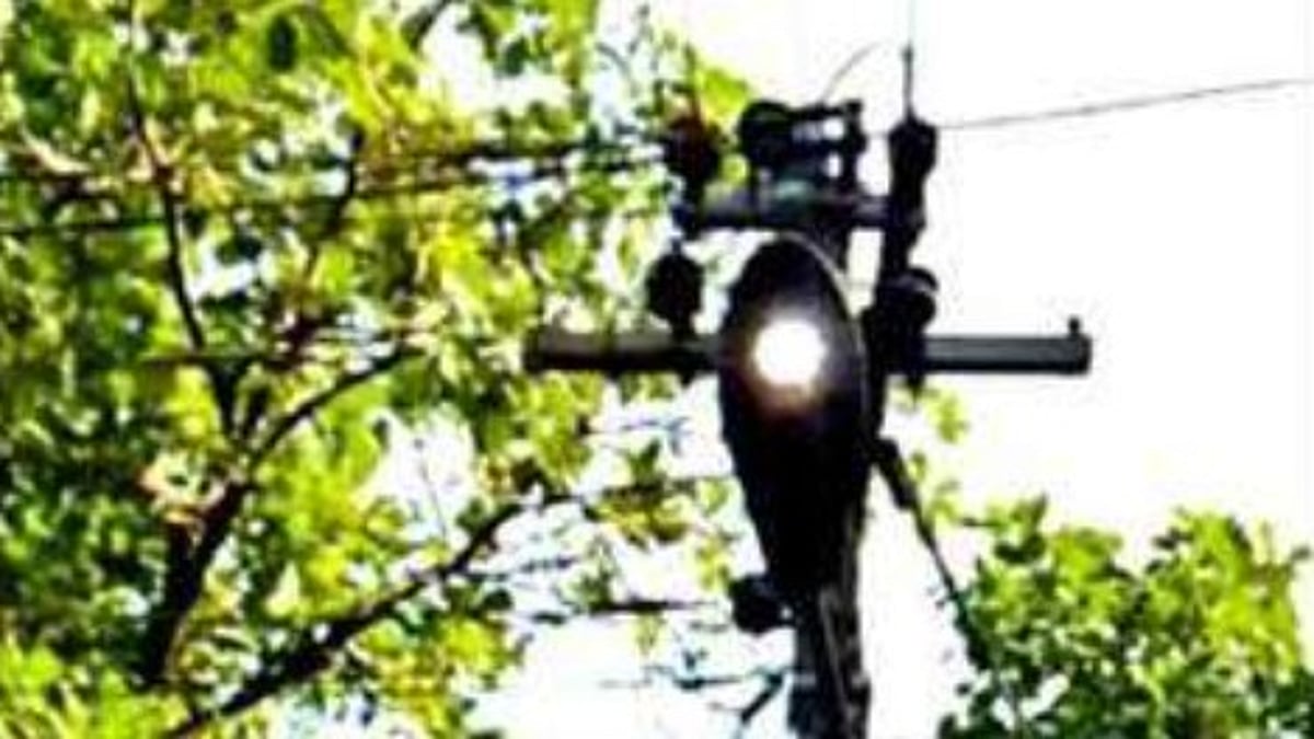 Telaulim–Navelim Residents Fume as Street Lights Waste Power by Day, Bridge Left Dark at Night