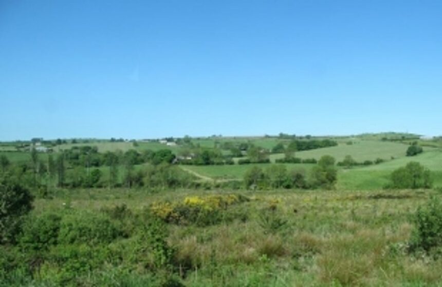 Temporary use of forest lands allowed 1 Temporary use of forest lands allowed