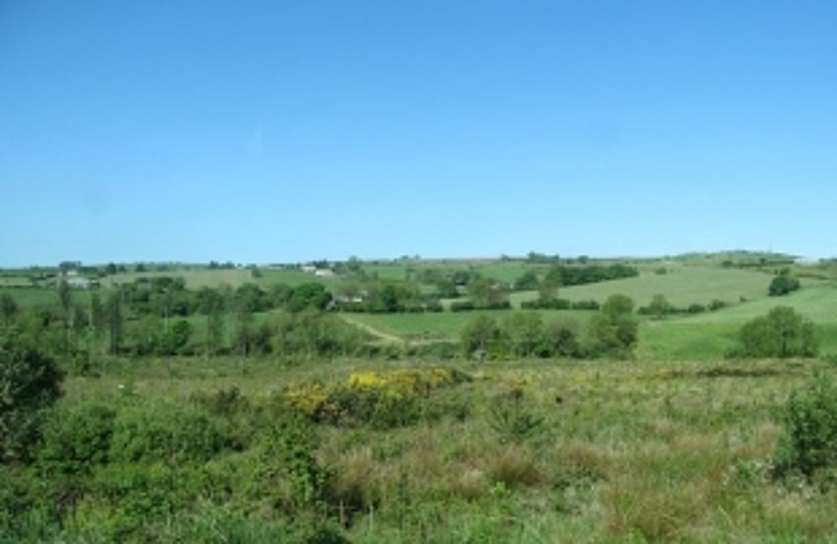 Temporary use of forest lands allowed