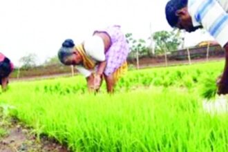 Tenancy issue:  Still a thorn in the side