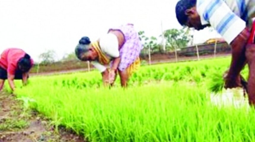 Tenancy issue:  Still a thorn in the side