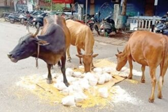 Tensions rise in Mangor as residents want mass testing, end to stigmatisation