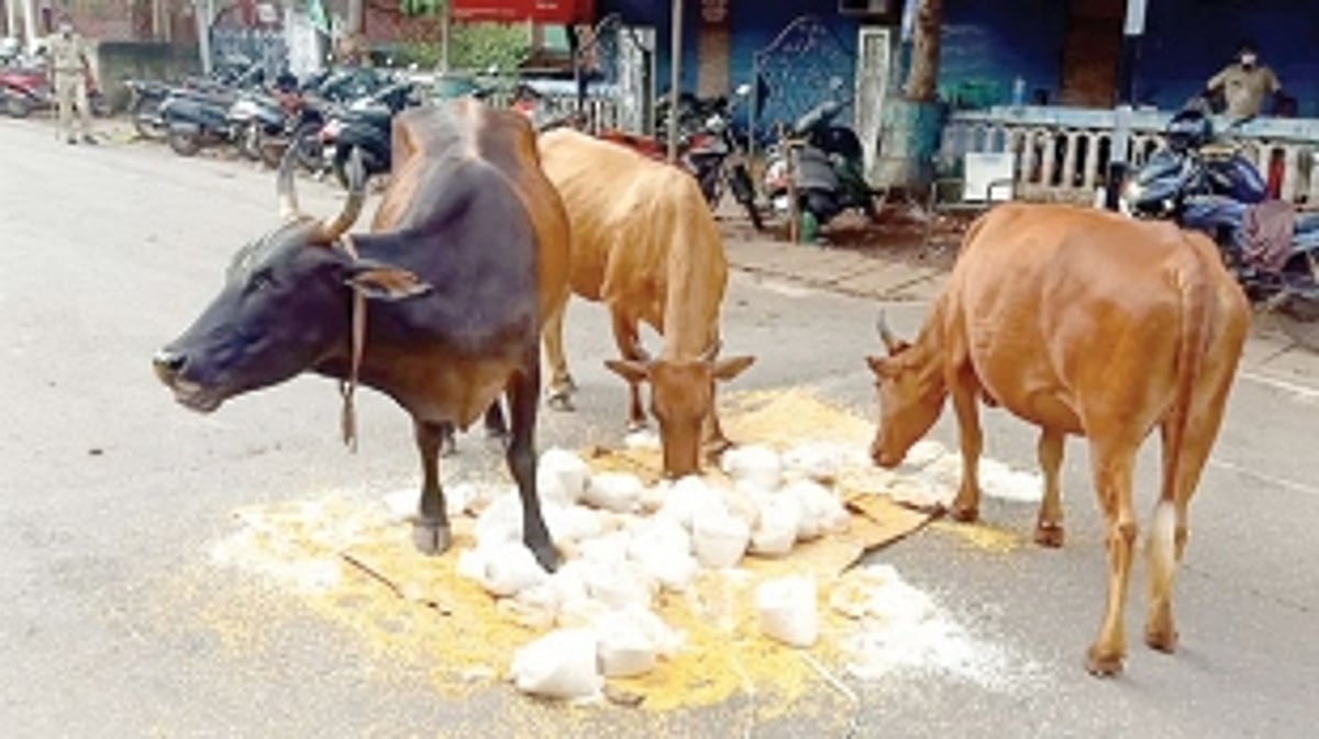 Tensions rise in Mangor as residents want mass testing, end to stigmatisation