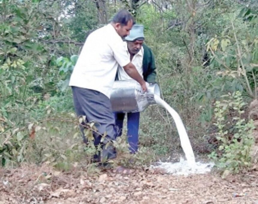 Thane farmers spill over 300 litres of milk along roadside 1 Thane farmers spill over 300 litres of milk along roadside