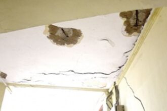 The Animal Husbandry dept is critically unsafe for the humans working there