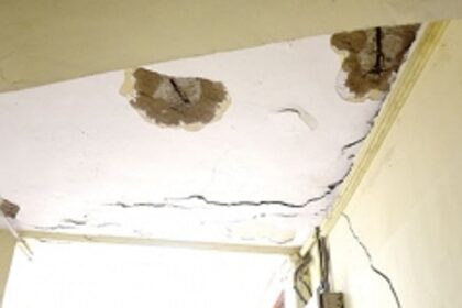 The Animal Husbandry dept is critically unsafe for the humans working there