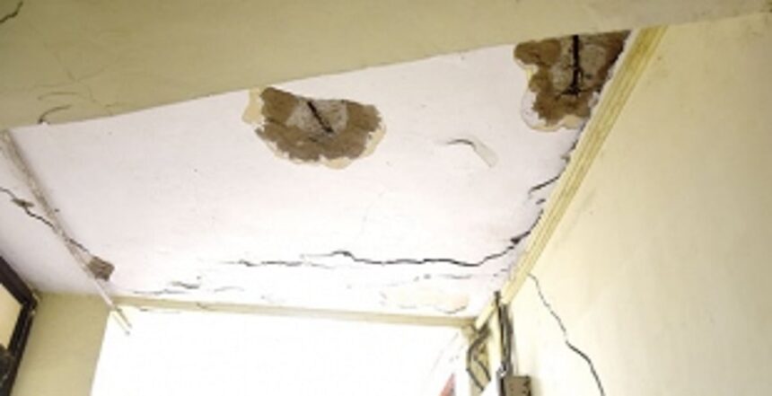 The Animal Husbandry dept is critically unsafe for the humans working there