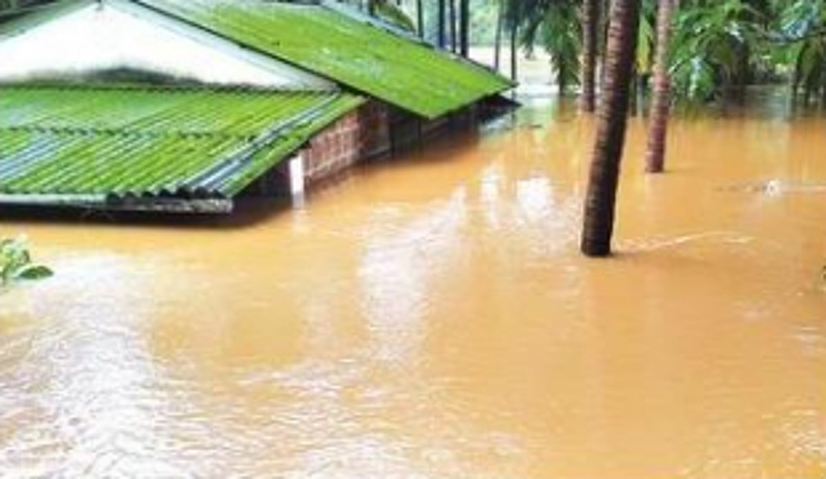 The COP26, ... and its impacts in India