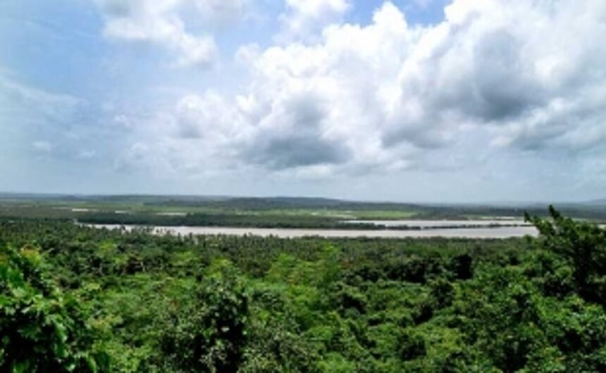 The Challenge Of Saving Private Forests
