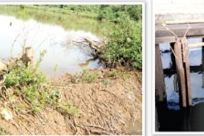 The Destruction of Goa's Agriculture