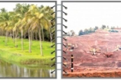 The FIGHT against the FADING GREEN... will it go  FURTHER?