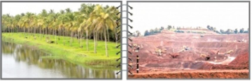 The FIGHT against the FADING GREEN... will it go  FURTHER?