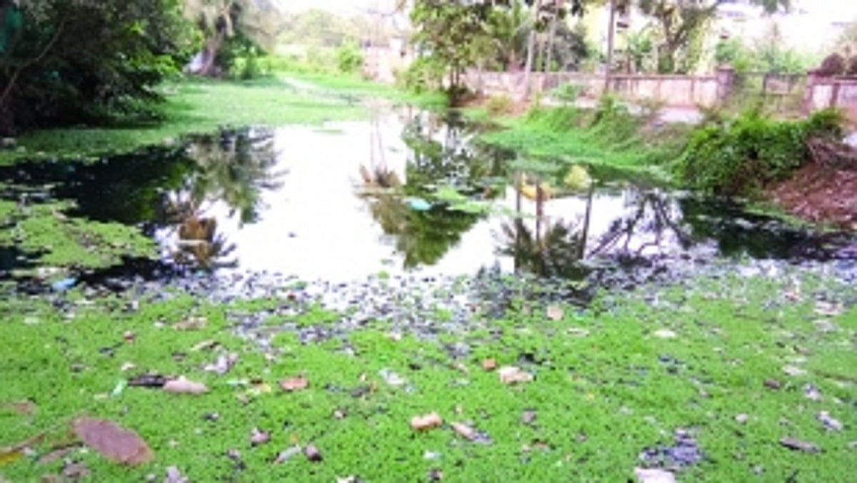 The FILTHY CREEK — City’s eye sore