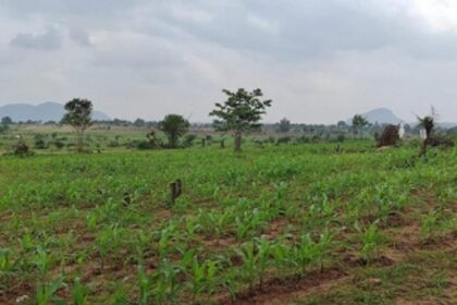 The Goa landgrab kingpins sold less than half the lands they grabbed, but still made megabucks