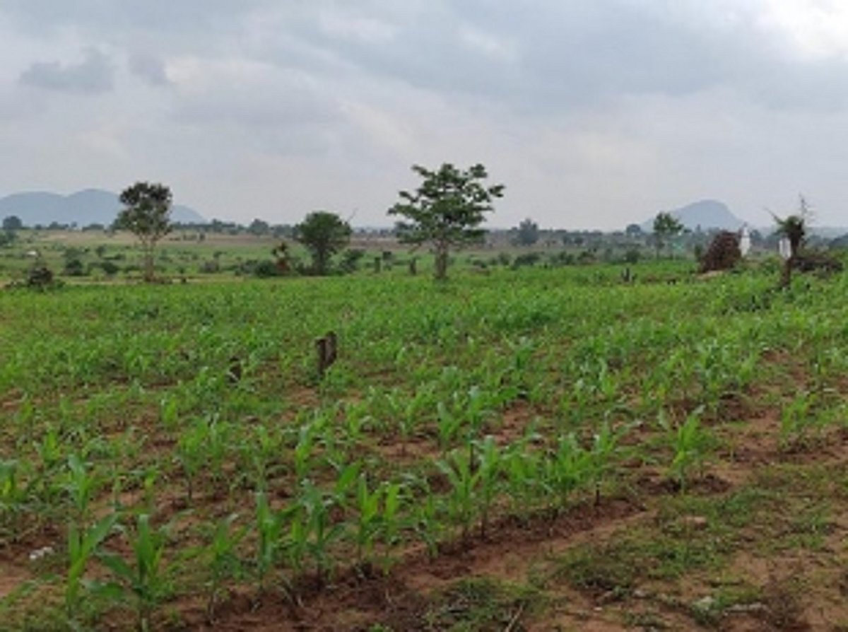 The Goa landgrab kingpins sold less than half the lands they grabbed, but still made megabucks