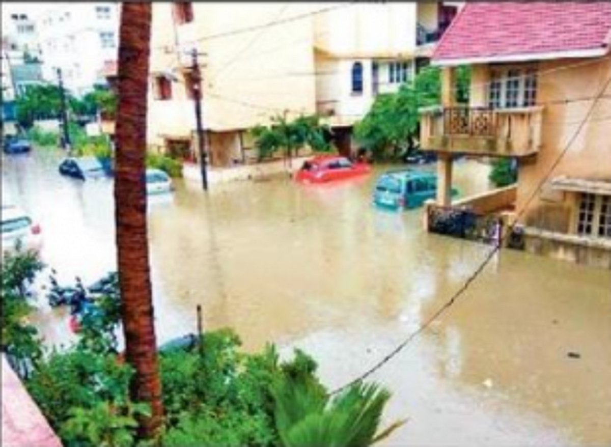 The Goan doctor and  the plague