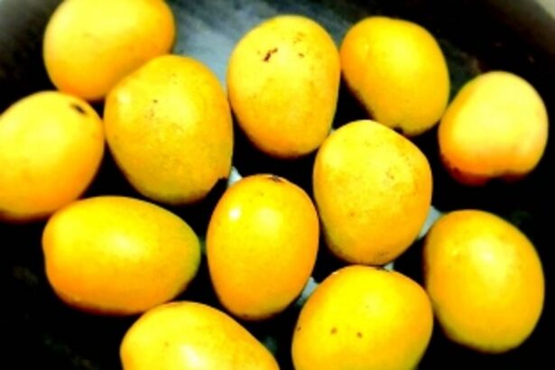 The King of Fruits: Mangoes reign supreme in the Goan summer