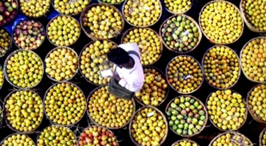 The Mankurad Mango now travels from Goan shores