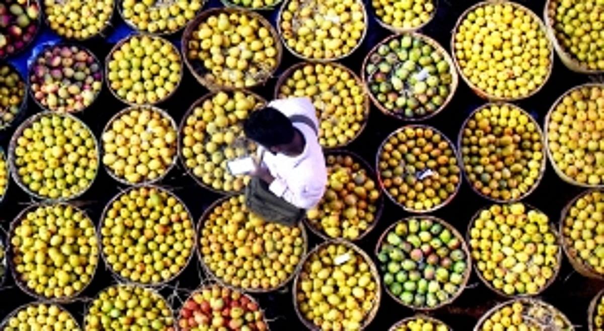 The Mankurad Mango now travels from Goan shores