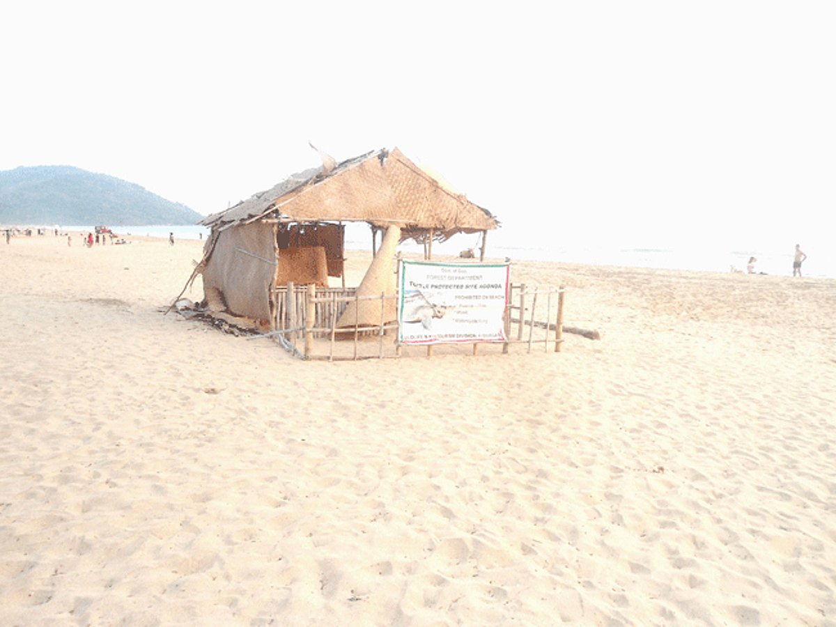 The Nature Interpretation Site at Agonda beach, where a banner has been put up by the government banning playing/fire, music, motorcycle riding on the beach. 1 The Nature Interpretation Site at Agonda beach, where a banner has been put up by the government banning playing/fire, music, motorcycle riding on the beach.