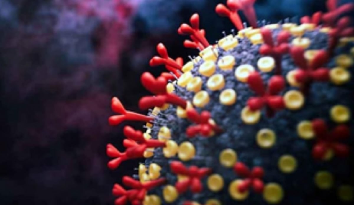 The New Visitor named Omicron