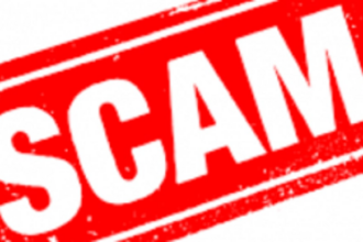 The Sulli Scam — The slimy story