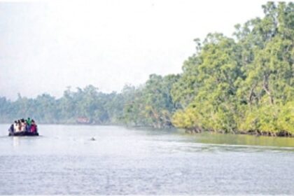 The Sundarbans: Calls grow louder for eco-friendly tourism