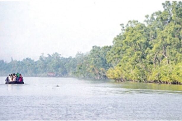 The Sundarbans: Calls grow louder for eco-friendly tourism