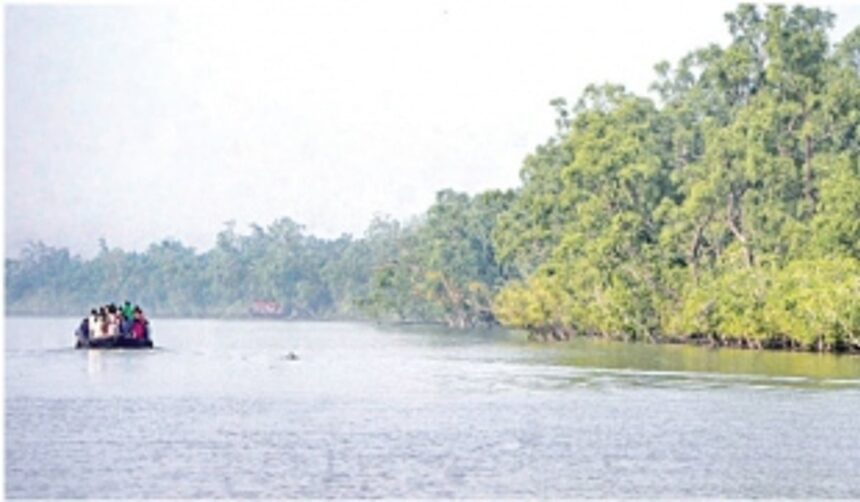 The Sundarbans: Calls grow louder for eco-friendly tourism 1 The Sundarbans: Calls grow louder for eco-friendly tourism
