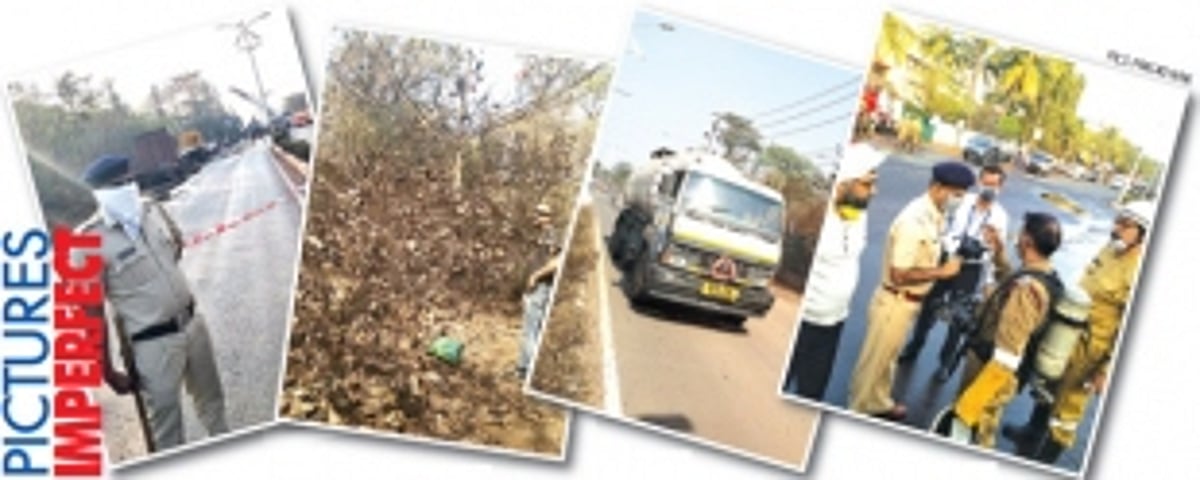 The ammonia effect: People scared stiff  and sick & charred trees