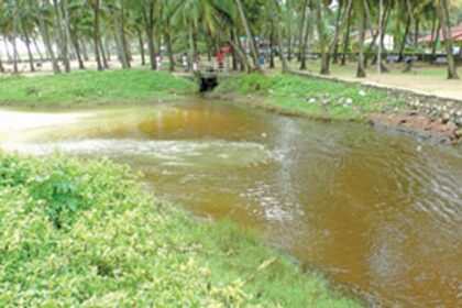 The contaminated Colva creek on Saturday.