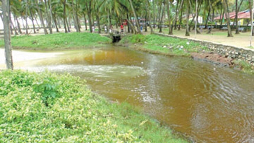The contaminated Colva creek on Saturday.
